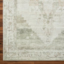 Luca BONC-2302 Ivory / Light Brown Rug