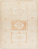 Solana BOOC-2300 Beige / Burnt Orange Rug
