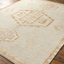 Solana BOOC-2301 Burnt Orange / Ivory Rug