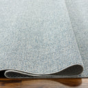 Birdie BORD-2304 Denim / Light Gray Rug