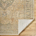Renaissance BORI-2300 Dark Brown / Dusty Coral Rug