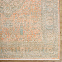 Renaissance BORI-2301 Denim / Dusty Coral Rug