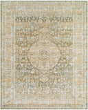 Renaissance BORI-2302 Denim / Dusty Coral Rug