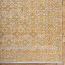 Renaissance BORI-2303 Light Beige / Tan Rug
