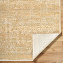 Renaissance BORI-2305 Light Beige / Tan Rug