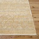 Renaissance BORI-2305 Light Beige / Tan Rug