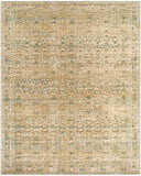 Renaissance BORI-2306 Dusty Coral / Light Beige Rug