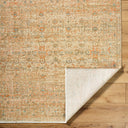 Renaissance BORI-2307 Denim / Dusty Coral Rug