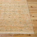 Renaissance BORI-2307 Denim / Dusty Coral Rug