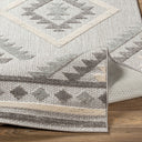 Big Sur BSR-2313 Charcoal / Cream Rug