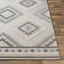 Big Sur BSR-2313 Charcoal / Cream Rug