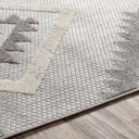 Big Sur BSR-2313 Charcoal / Cream Rug