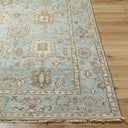 Biscayne BSY-2305 Dusty Sage / Light Brown Rug