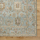 Biscayne BSY-2305 Dusty Sage / Light Brown Rug