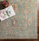 Biscayne BSY-2305 Dusty Sage / Light Brown Rug