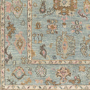 Biscayne BSY-2305 Dusty Sage / Light Brown Rug