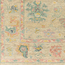Biscayne BSY-2306 Dusty Pink / Dusty Sage Rug