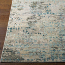 Biscayne BSY-2308 Charcoal / Deep Teal Rug