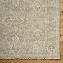 Biscayne BSY-2313 Light Gray / Light Slate Rug