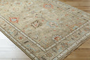 Biscayne BSY-2314 Dark Brown / Ivory Rug