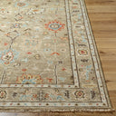 Biscayne BSY-2314 Dark Brown / Ivory Rug