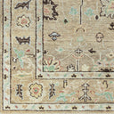 Biscayne BSY-2314 Dark Brown / Ivory Rug