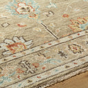 Biscayne BSY-2314 Dark Brown / Ivory Rug