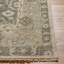Biscayne BSY-2316 Brown / Ivory Rug
