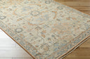 Biscayne BSY-2320 Burnt Orange / Ivory Rug