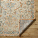 Biscayne BSY-2320 Burnt Orange / Ivory Rug