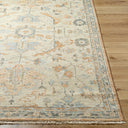 Biscayne BSY-2320 Burnt Orange / Ivory Rug