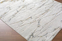 Amman BTA-2300 Beige / Brown Rug
