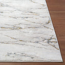 Amman BTA-2300 Beige / Brown Rug