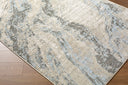 Amman BTA-2303 Beige / Charcoal Rug