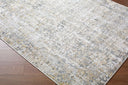 Amman BTA-2305 Beige / Brown Rug