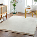 Bushra BUS-2300 Beige / Tan Rug