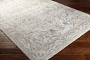 Brunswick BWK-2313 Deep Teal / Dusty Sage Rug