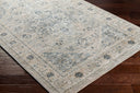 Brunswick BWK-2319 Dusty Sage / Light Gray Rug