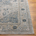Brunswick BWK-2319 Dusty Sage / Light Gray Rug
