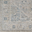 Brunswick BWK-2319 Dusty Sage / Light Gray Rug