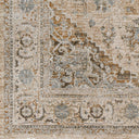 Brunswick BWK-2320 Charcoal / Dusty Sage Rug