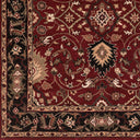 Caesar CAE-1031 Beige / Black Rug