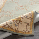 Caesar CAE-1100 Beige / Burnt Orange Rug