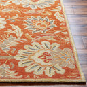 Caesar CAE-1112 Dark Brown / Dusty Sage Rug
