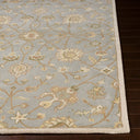 Caesar CAE-1121 Gray / Ivory Rug