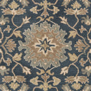 Caesar CAE-1154 Brown / Dusty Sage Rug