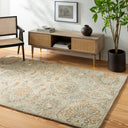 Caesar CAE-1227 Charcoal / Medium Gray Rug