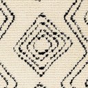 Casablanca Shag CAG-2318 Black / Ivory Rug