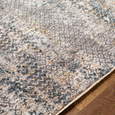 Cardiff CDF-2301 Beige / Blue Rug