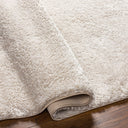 Cloudy Shag CDG-2301 Light Beige Rug